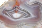 Colorful Polished Patagonia Agate - Highly Fluorescent! #260756-1